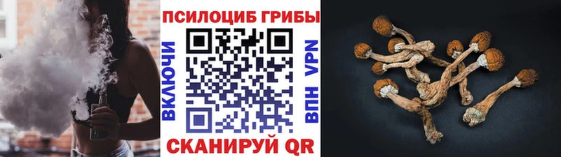 Галлюциногенные грибы ЛСД  Купить  Котельниково 